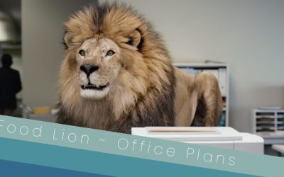 Food Lion – Office Plans